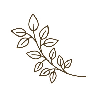 yaprak izole ağaç şube simgesi