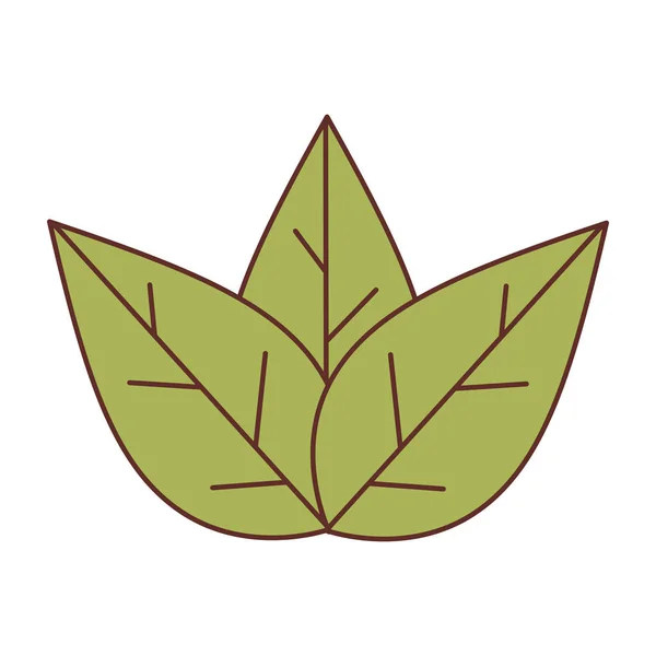 Schöne Blätter isolierte Ikone — Stockvektor