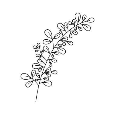 Yaprak ekoloji simgesine sahip dal