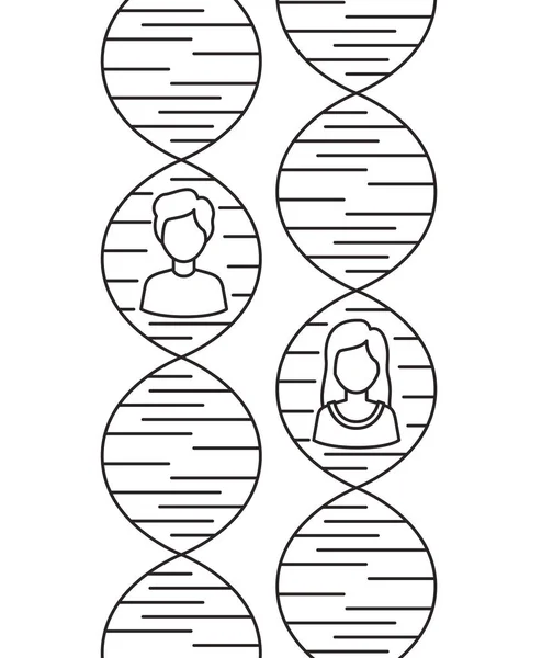 Dna chain with genders characters — Stock Vector