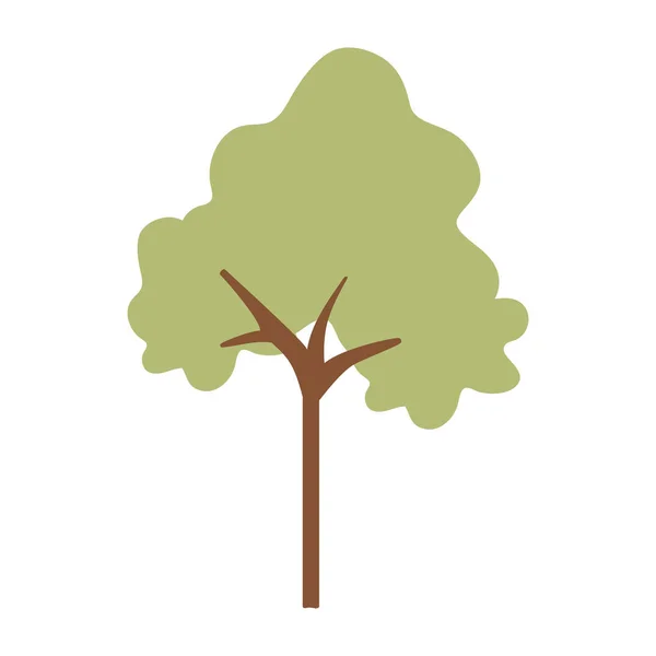 Árbol planta aislado icono — Vector de stock