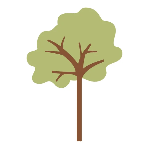 Tree plant isolated icon — Stock Vector