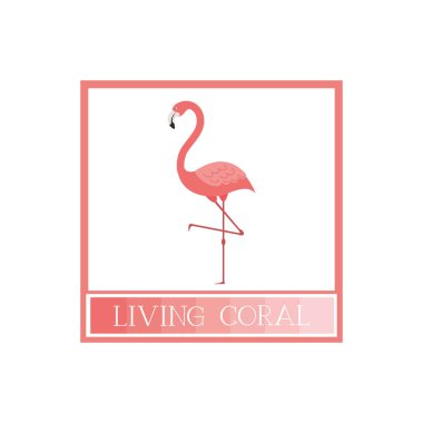 Pembe Flamingo desen izole simgesi