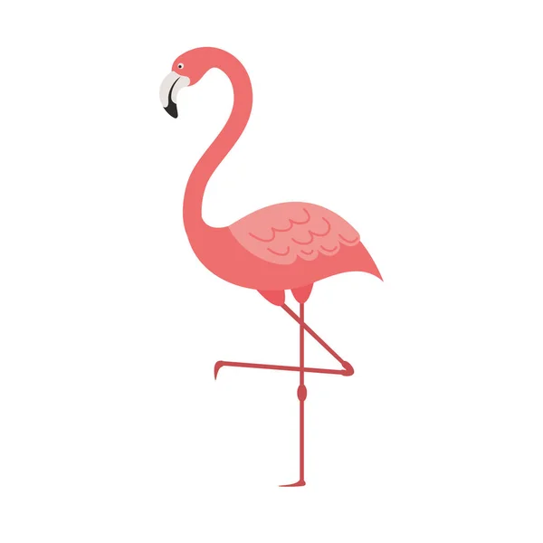 Roze flamingo geïsoleerd icoon — Stockvector