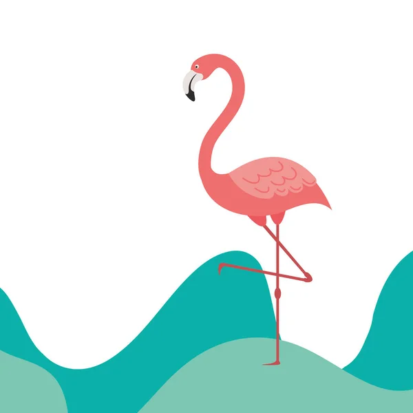 Roze flamingo geïsoleerd icoon — Stockvector