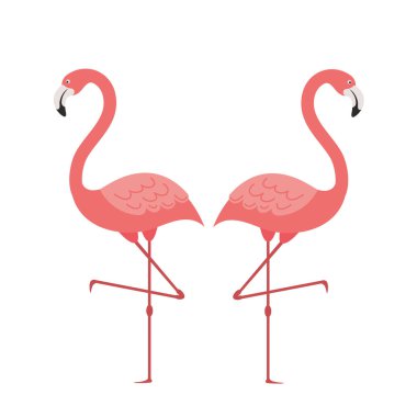 Pembe Flamingo izole simgesi