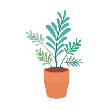 ev bitki pot izole simgesi