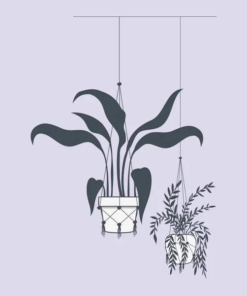 Plantes d'intérieur dans des cintres macramé — Image vectorielle