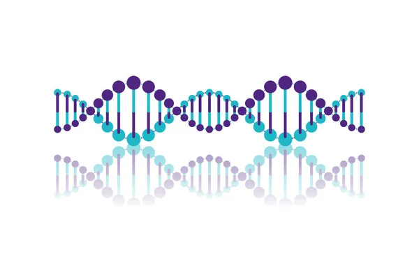 Horizontal dna chain science colorful icon — Stock Vector