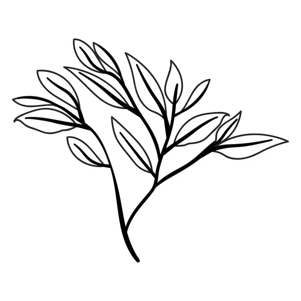 잎새 생태학적 아이콘을 가진 가지 — 스톡 벡터
