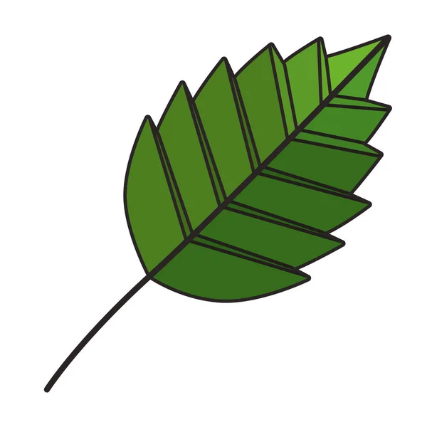 Blad plant geïsoleerde pictogram — Stockvector