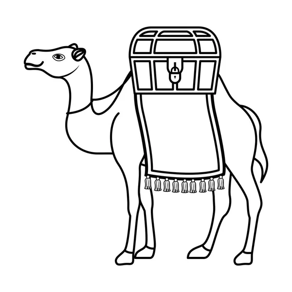 Lindo camello desierto animal — Vector de stock