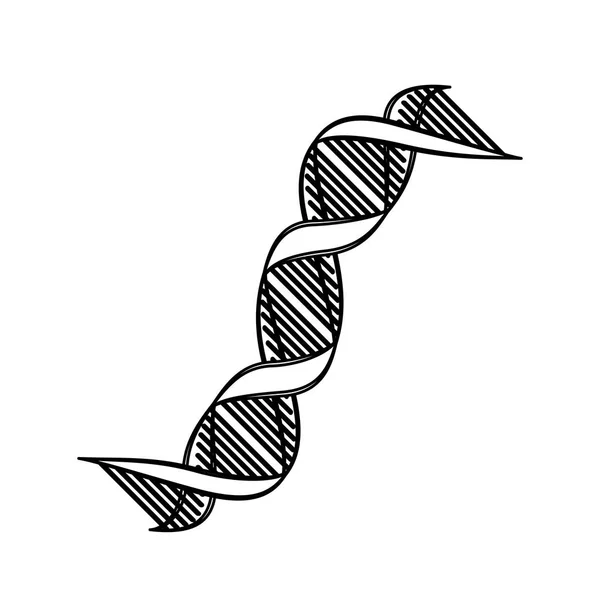 Chaîne d'ADN diagonale science monochrome — Image vectorielle