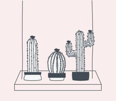 salıncakta kaktüs houseplant