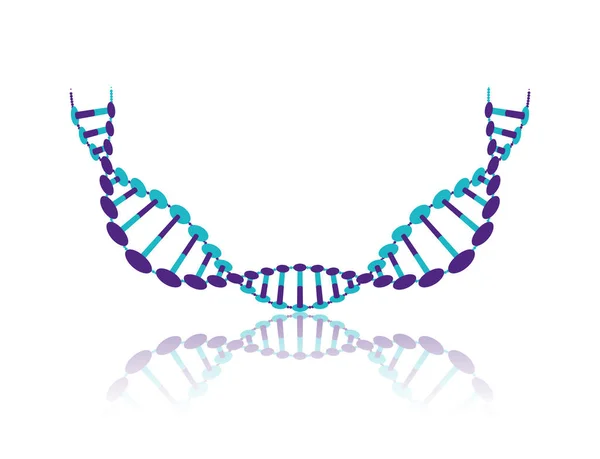 Ланцюг ДНК з кривою наука барвиста піктограма — стоковий вектор