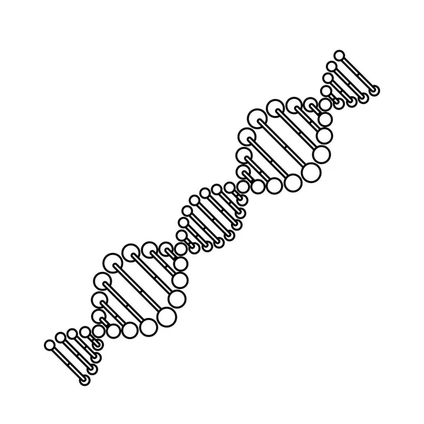 Átlós DNS-láncú monokróm — Stock Vector