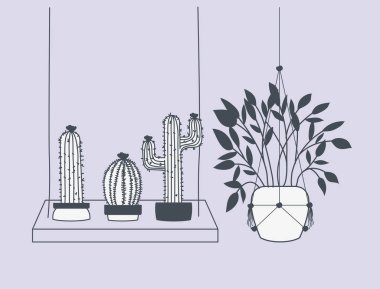 macrame askıları ve salıncak houseplants