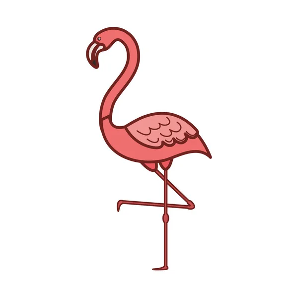 Flamingo ikona na białym tle różowy — Wektor stockowy