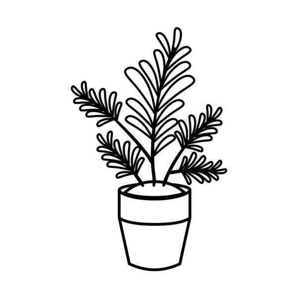 Maison plante pot isolé icône — Image vectorielle