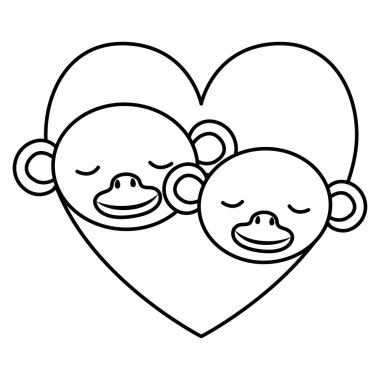 kalpte vahşi maymunlar çift