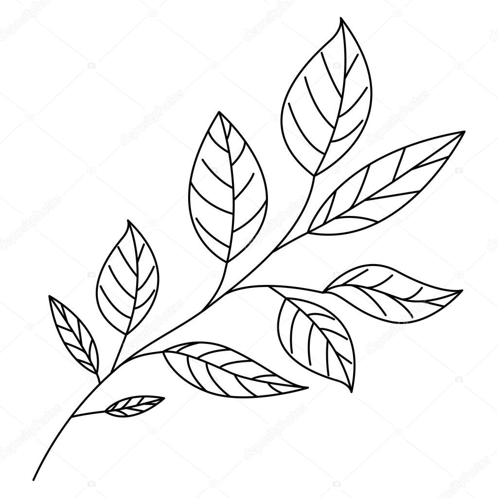 branch with leafs ecology icon