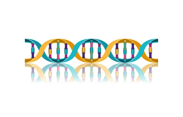 Pozioma łańcuch DNA nauka kolorowy ikona — Wektor stockowy