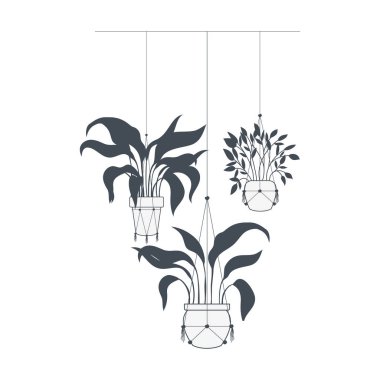 macrame askıları simgesi üzerinde houseplants