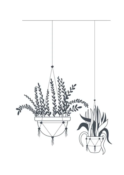 Plantes d'intérieur sur macramé cintres icône — Image vectorielle