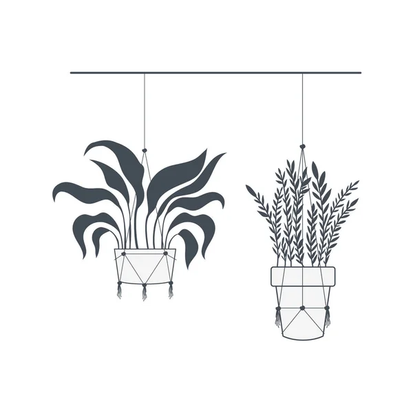 Rośliny domowe na ikonie wieszaki na makrame — Wektor stockowy