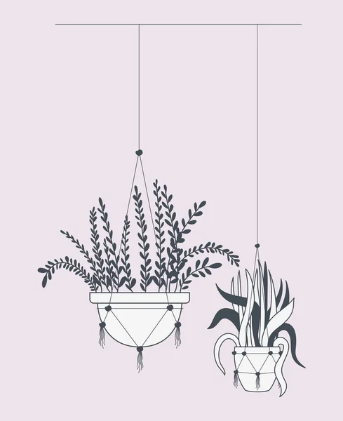 马德拉梅衣架中的室内植物 — 图库矢量图片