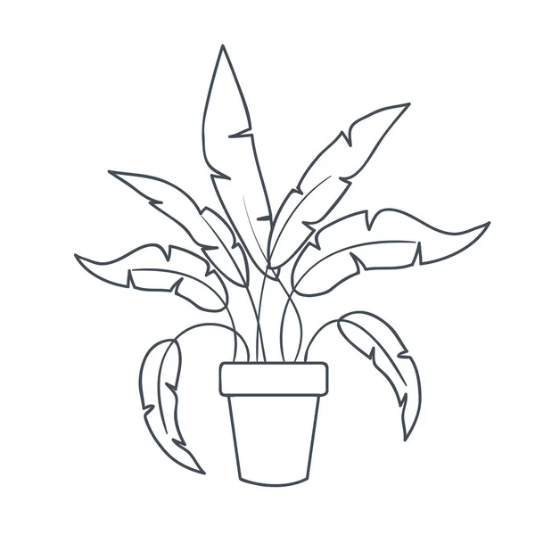 Planta de interior con maceta icono aislado — Vector de stock