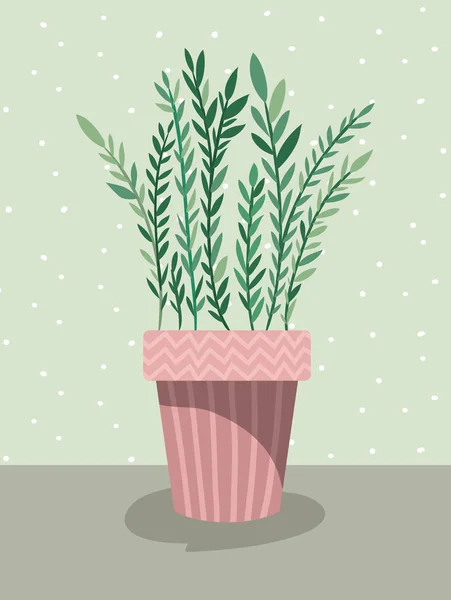 Belle plante d'intérieur en pot — Image vectorielle