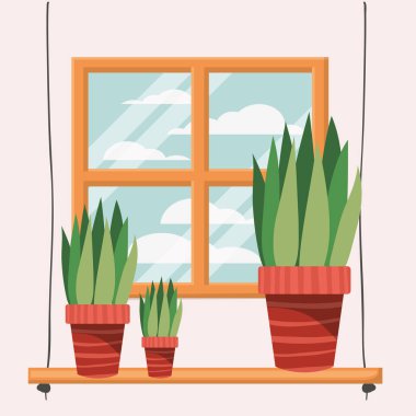 pencere sahnesi ile rafta houseplants