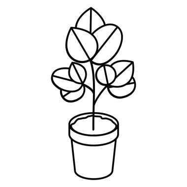 ev bitki pot izole simgesi