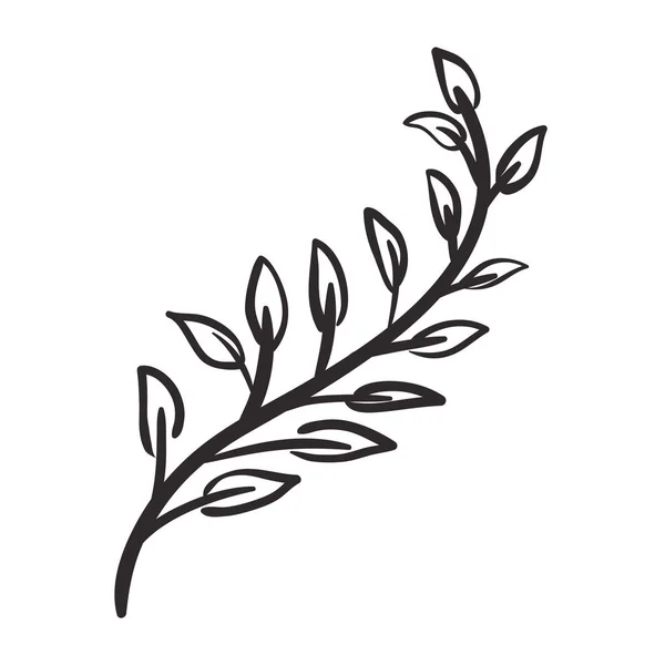 아름 다운 잎 식물 고립 된 아이콘 — 스톡 벡터