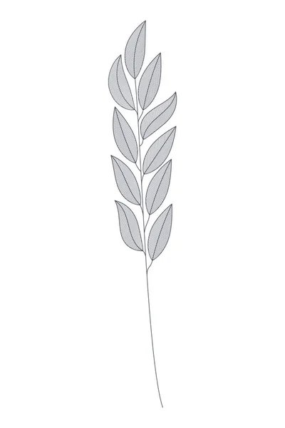 Ramas con hojas icono aislado — Vector de stock