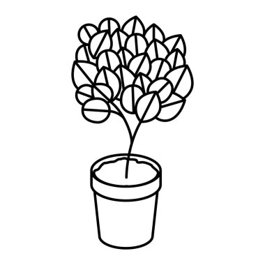 ev bitki pot izole simgesi