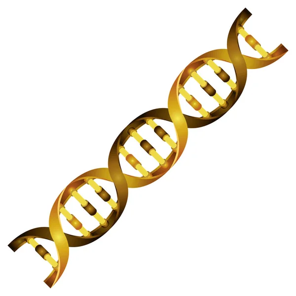 Diagonal DNA Chain Science gyllene färg — Stock vektor