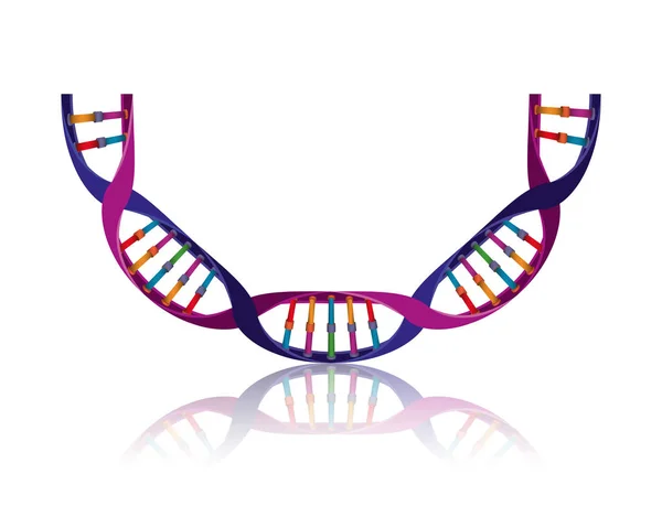 Цепочка ДНК с кривой науки красочный значок — стоковый вектор