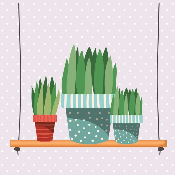 Des plantes d'intérieur dans des cintres macramé et balançoire — Image vectorielle