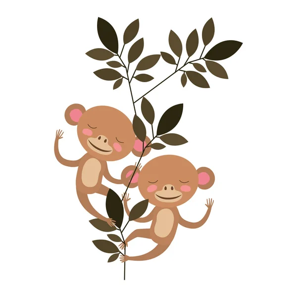 Wilde apen paar in de jungle — Stockvector