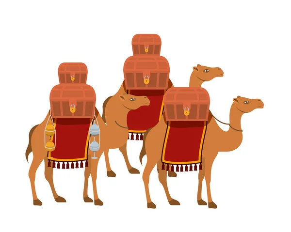 Group of camels transport trunks — Stock Vector