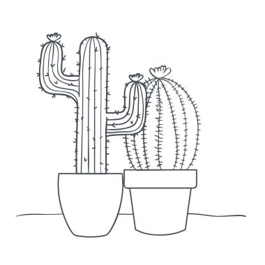 saksı izole simgesi ile kaktüs