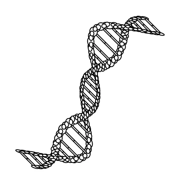 Diagonal dna chain science monochrome — Stock Vector