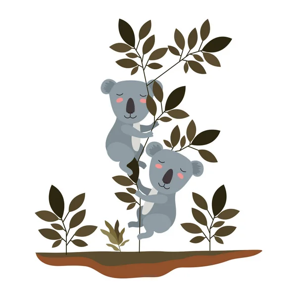 Wilde koala 's paar in de jungle — Stockvector