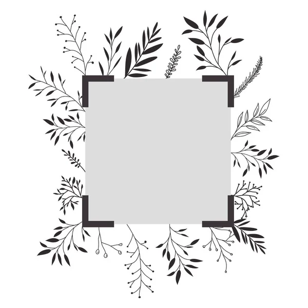 Feuilles cadre carré décoratif — Image vectorielle