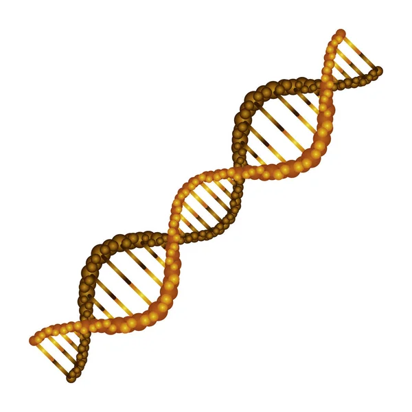 Átlós DNS Láncos tudományos aranyszínű — Stock Vector