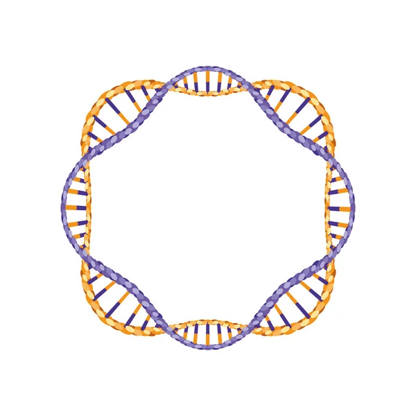 Circular dna chain science icon - Stok Vektor