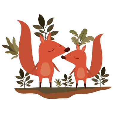 Vahşi sincaplar ormanda bir çift.