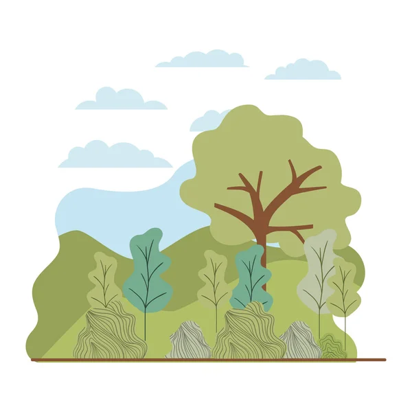 Trees plant with landscape isolated icon — Stock Vector